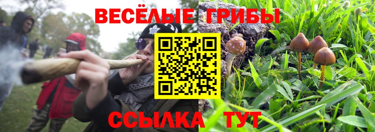 Псилоцибиновые грибы ЛСД Южноуральск